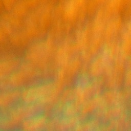 Bokeh-529